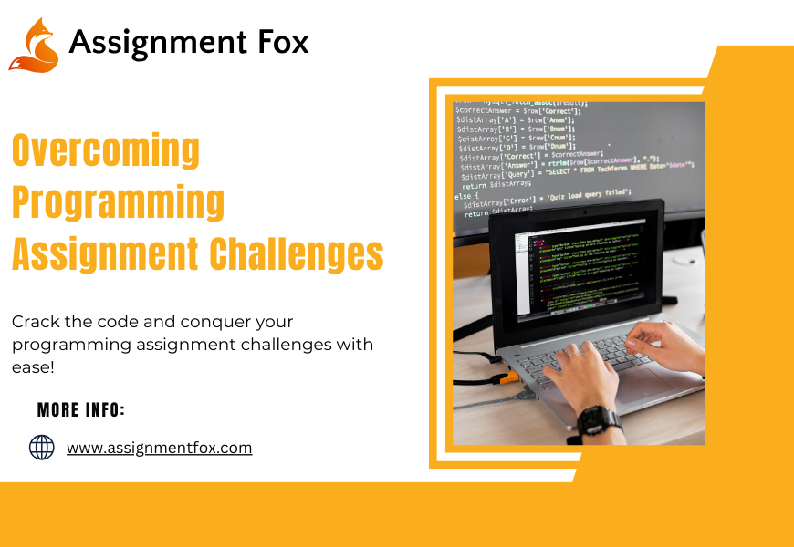 Challenges in Programming Assignments